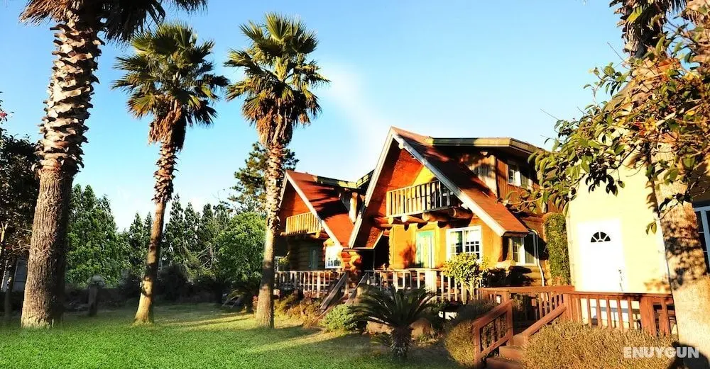 Jeju Log Pension - Öne Çıkan Resim