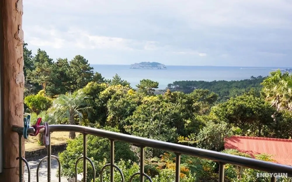 Jeju Oedolgaenara Pension & Guesthouse - Misafir Tesisleri ve Hizmetleri
