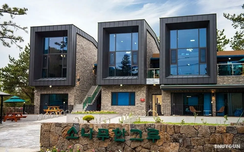 Jeju One Pine Tree Pension - Misafir Tesisleri ve Hizmetleri