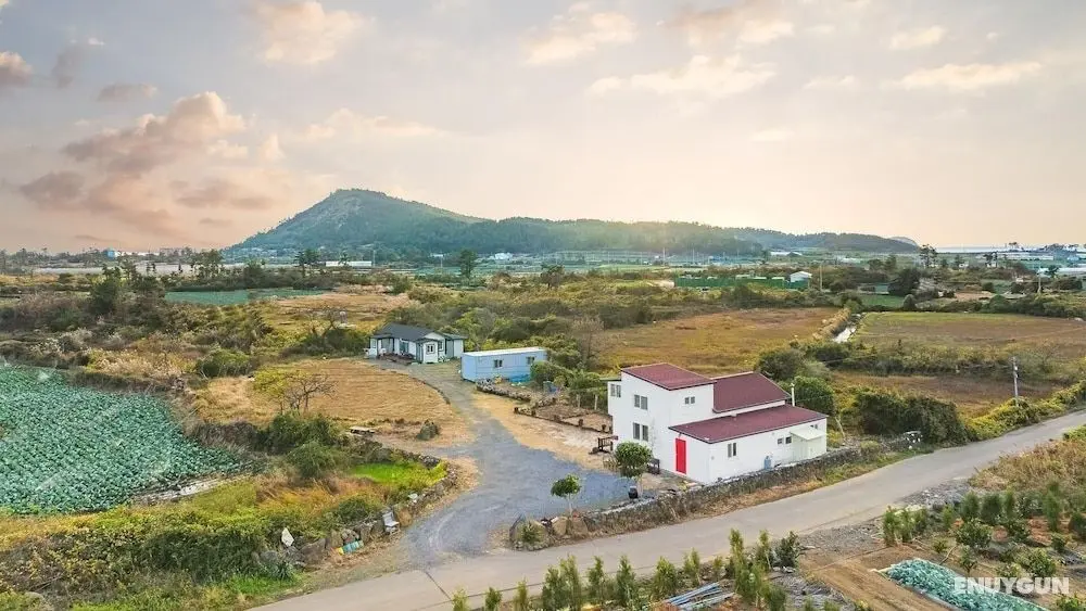 Jeju Orsirok Dogchaepension - Dış Mekan