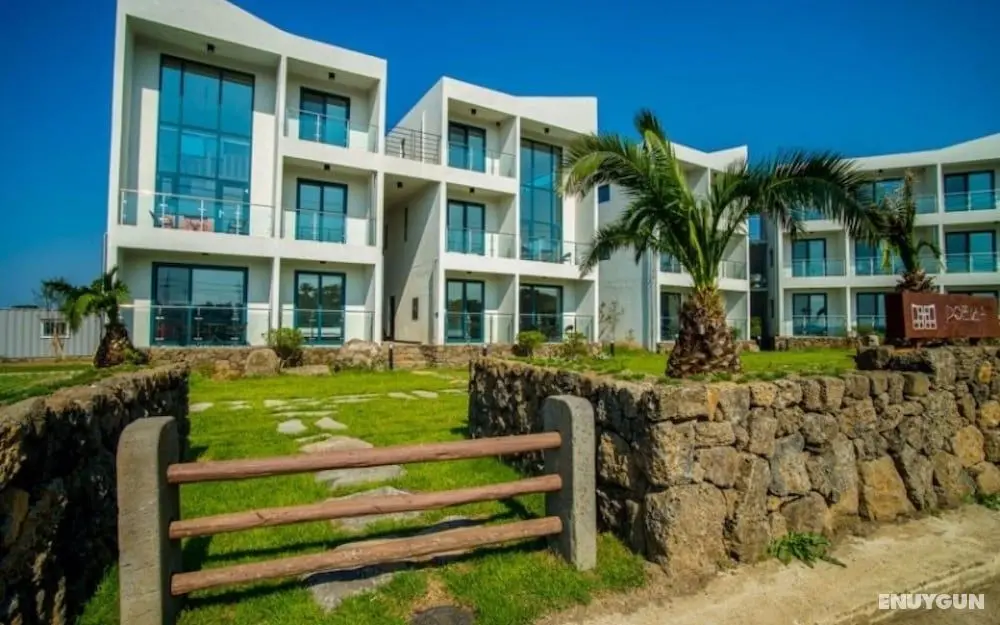 Jeju Poema Pension - Misafir Tesisleri ve Hizmetleri