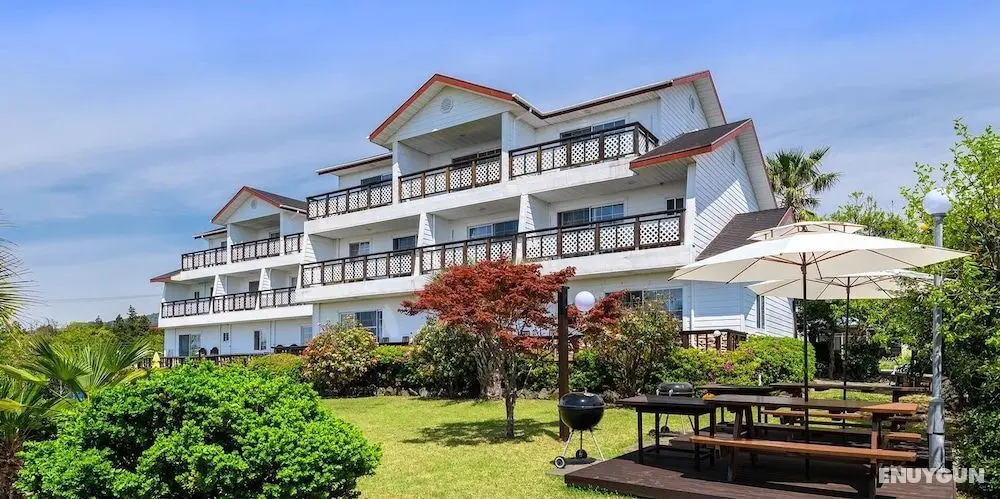 Jeju Today Pension - Öne Çıkan Resim