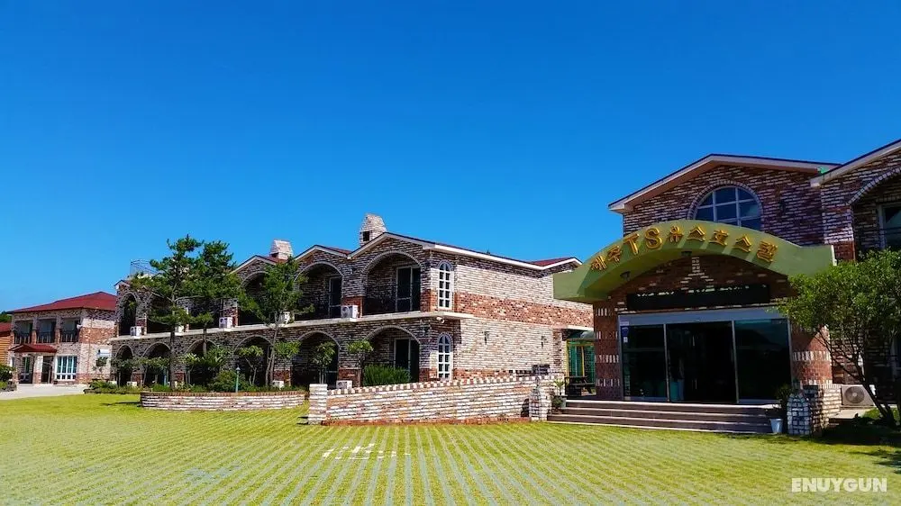 Jeju TS Youthhostel Resort - Öne Çıkan Resim