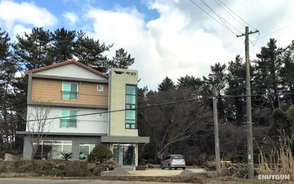 Jeju Ttorang Guest House - Dış Mekan