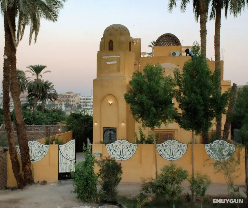 Jewel of the Valley Howard Carter Hotel - Dış Mekan
