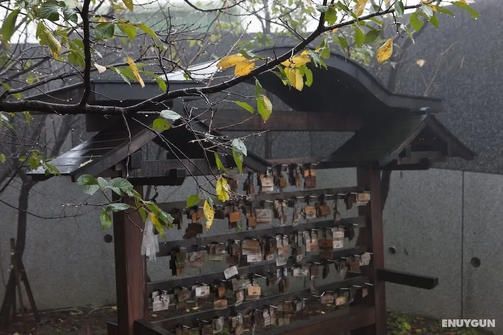 Jia Xin Hot Spring Resort Yangming Shan - Dış Mekan