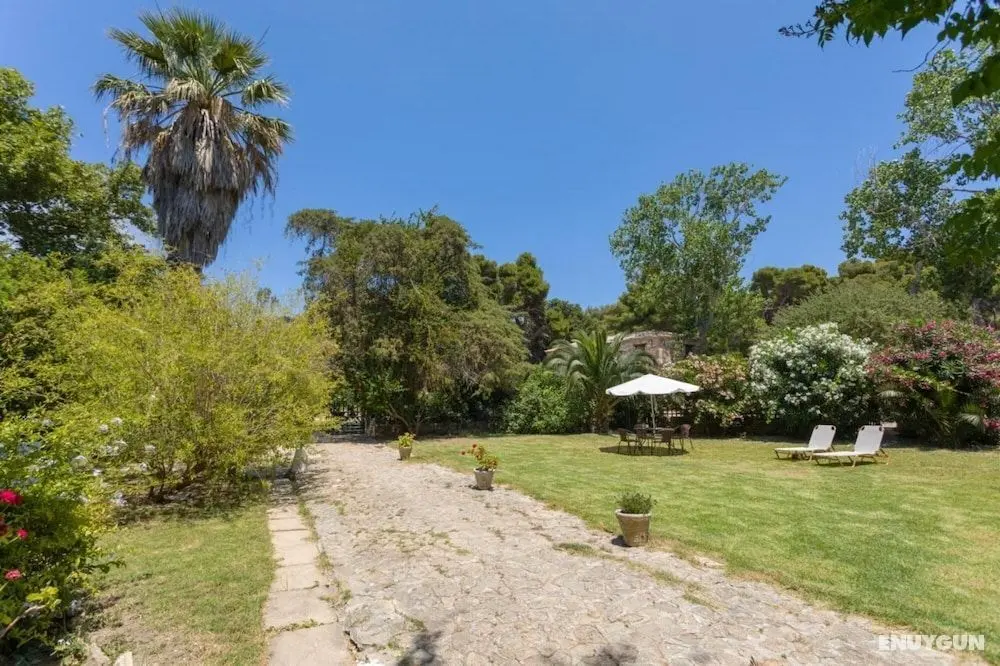 Jianni s Villa - Stone Villa in the Greenery - Jianni s Villa - Stone Villa in the Greenery - Oda
