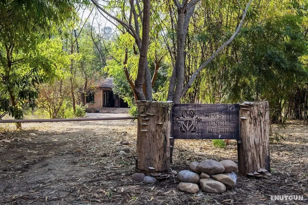 Jim's Jungle Retreat - Öne Çıkan Resim