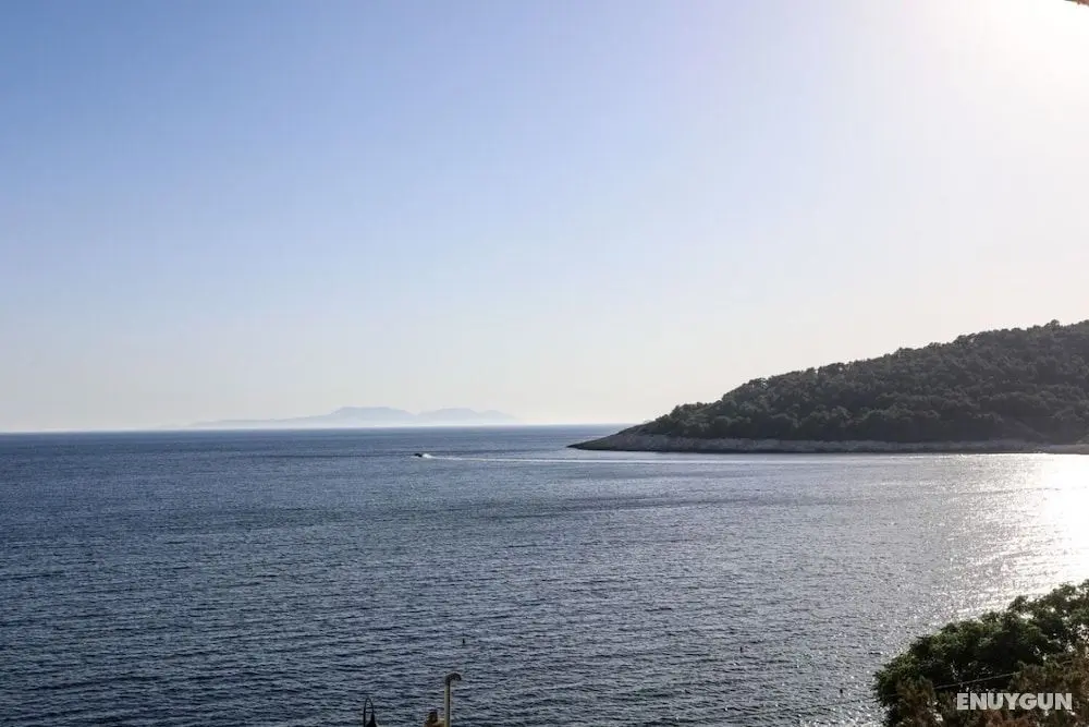 Josi - 50 m From sea - A1 - Oda Manzaraları