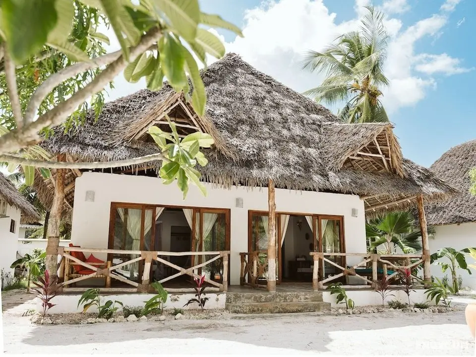 JOY OF ZANZIBAR - Öne Çıkan Resim