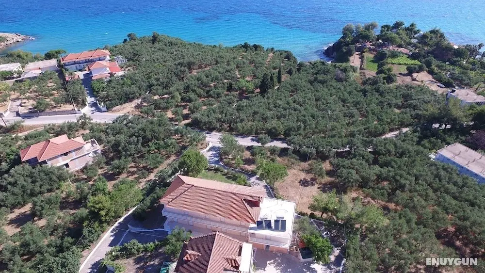 Julia Studios - Öne Çıkan Resim
