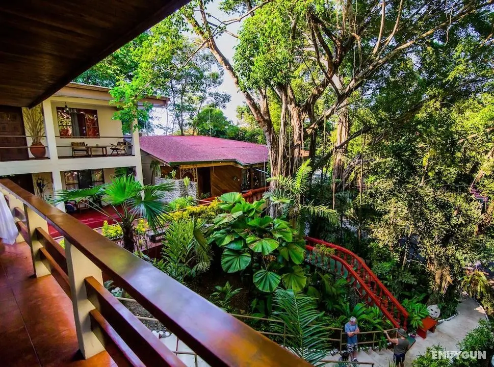 Jungle Beach Hotel Manuel Antonio - Öne Çıkan Resim