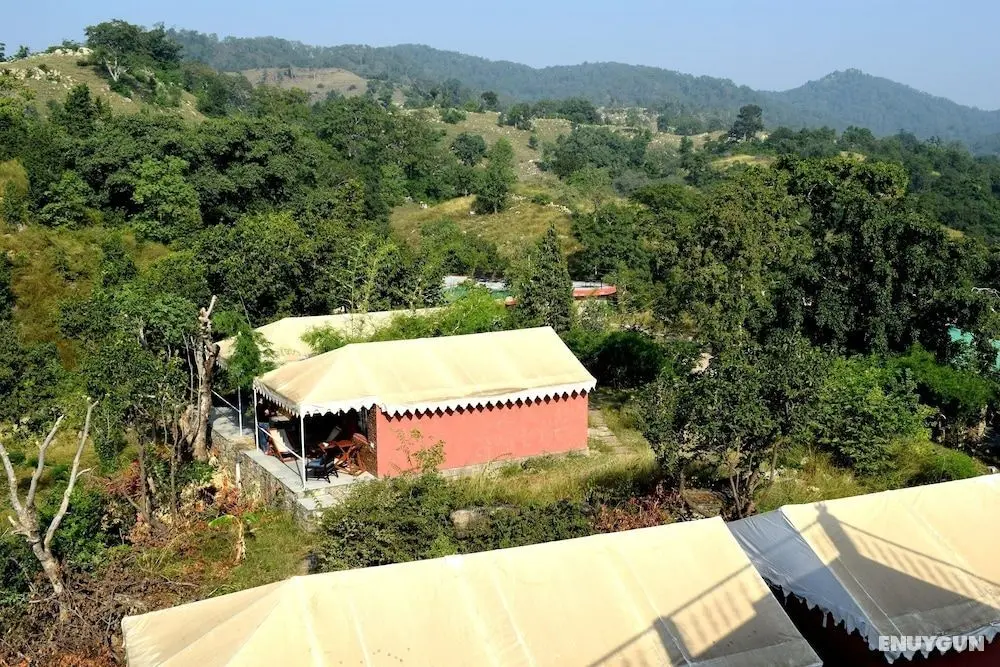 The Jungle Camp Resort by Sky Stays - İç Mekan
