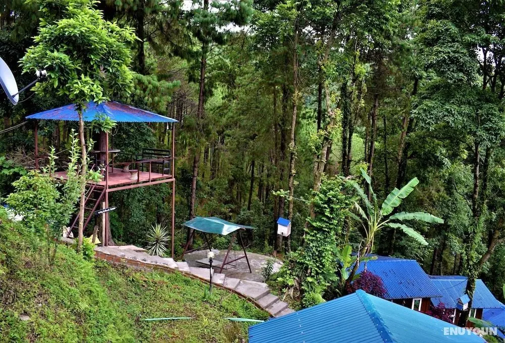 Jungle Crown Organic Homestay - Öne Çıkan Resim