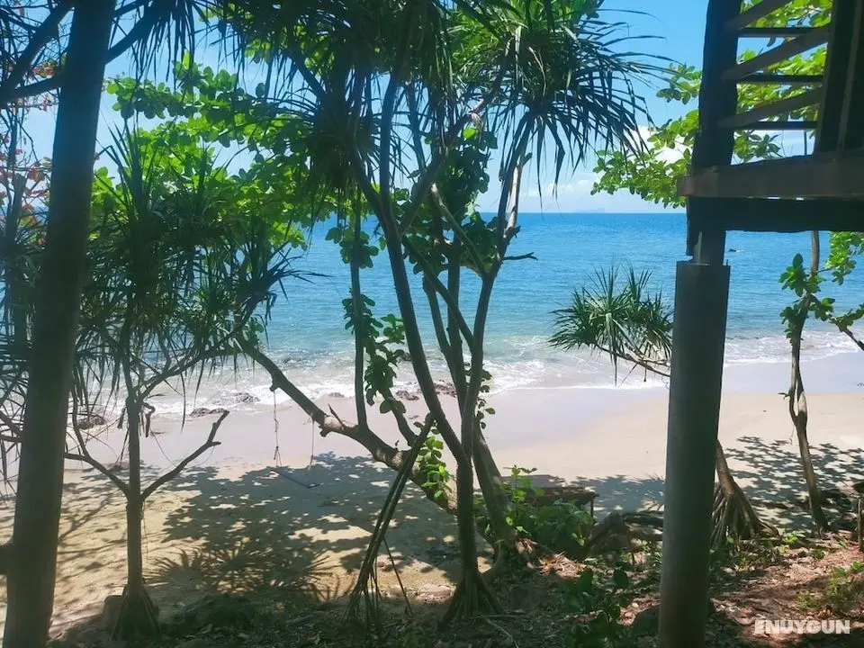 Jungle Hill Beach Bungalow - Plaj