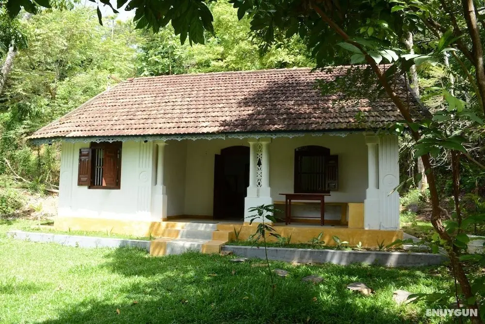 Jungle house - Öne Çıkan Resim