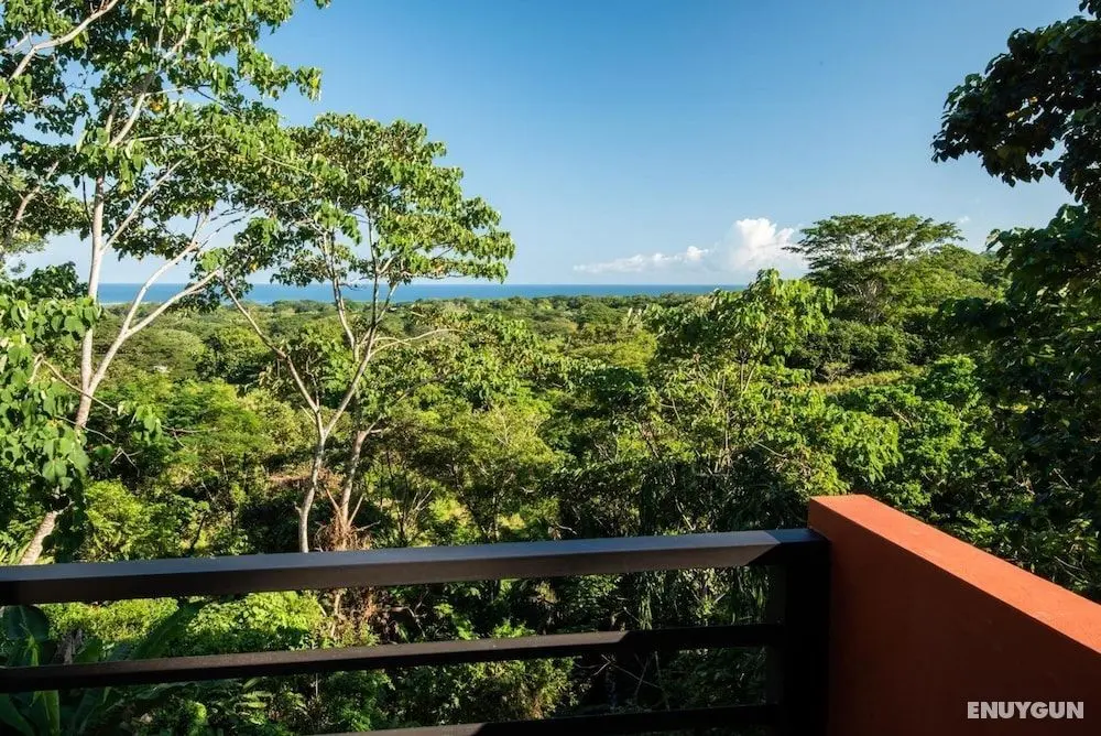 Jungle Lodge at Wild Sun Rescue - Oda Düzeni