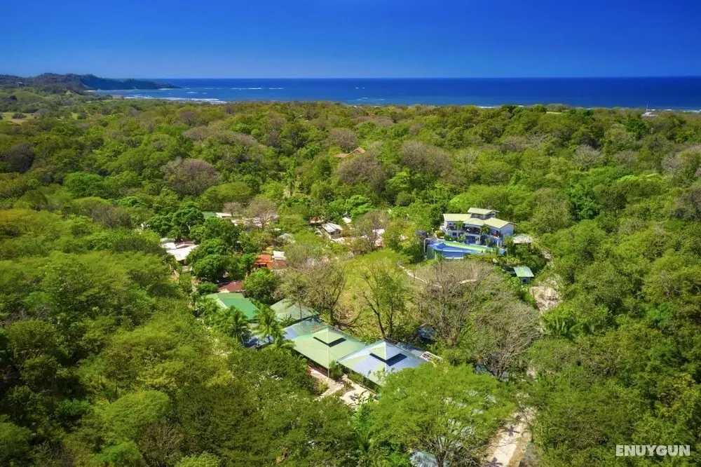 Jungle's Edge Ecolodge - Öne Çıkan Resim