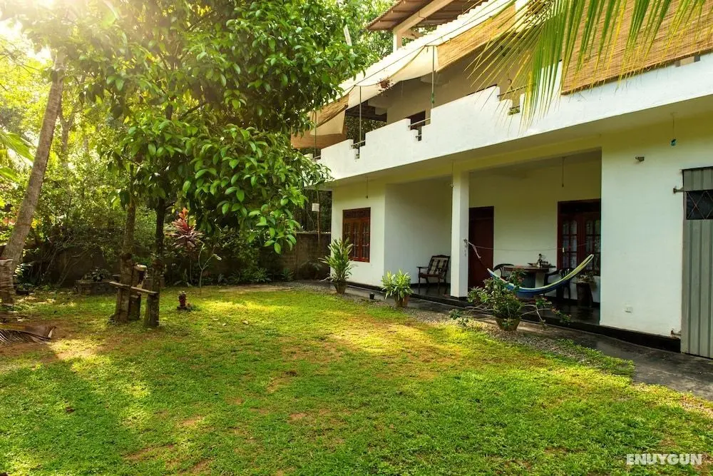 Jungleside House - Öne Çıkan Resim