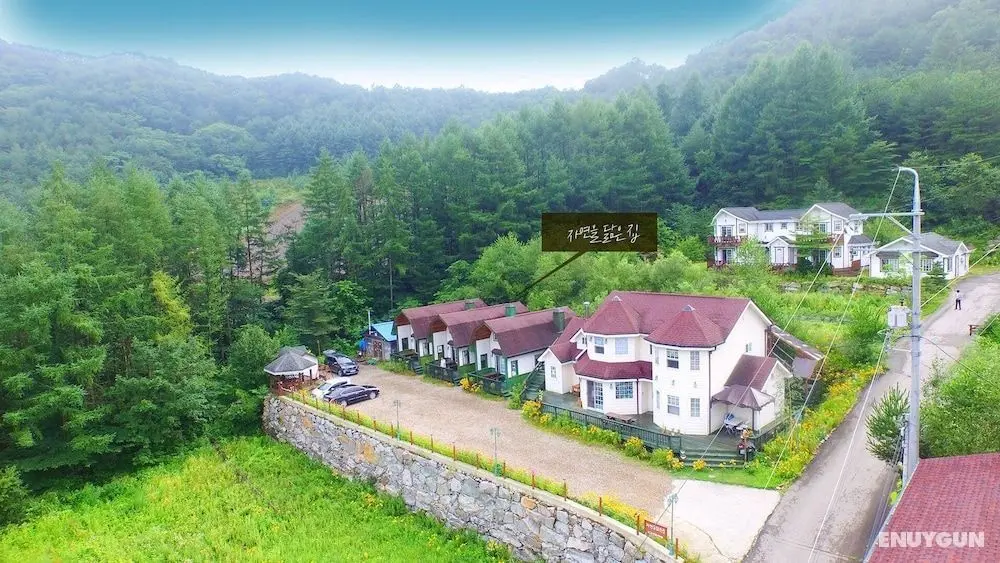 Just Like Natural Home Pension - Dış Mekan