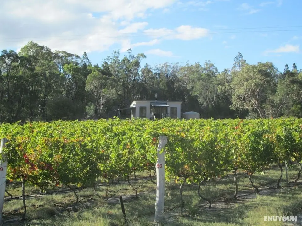 Just Red Wines Vineyard Cabins - Öne Çıkan Resim