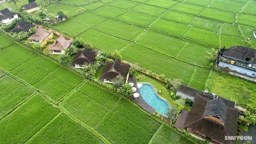 Kabinawa Ubud Villas by Pramana Villas - Öne Çıkan Resim
