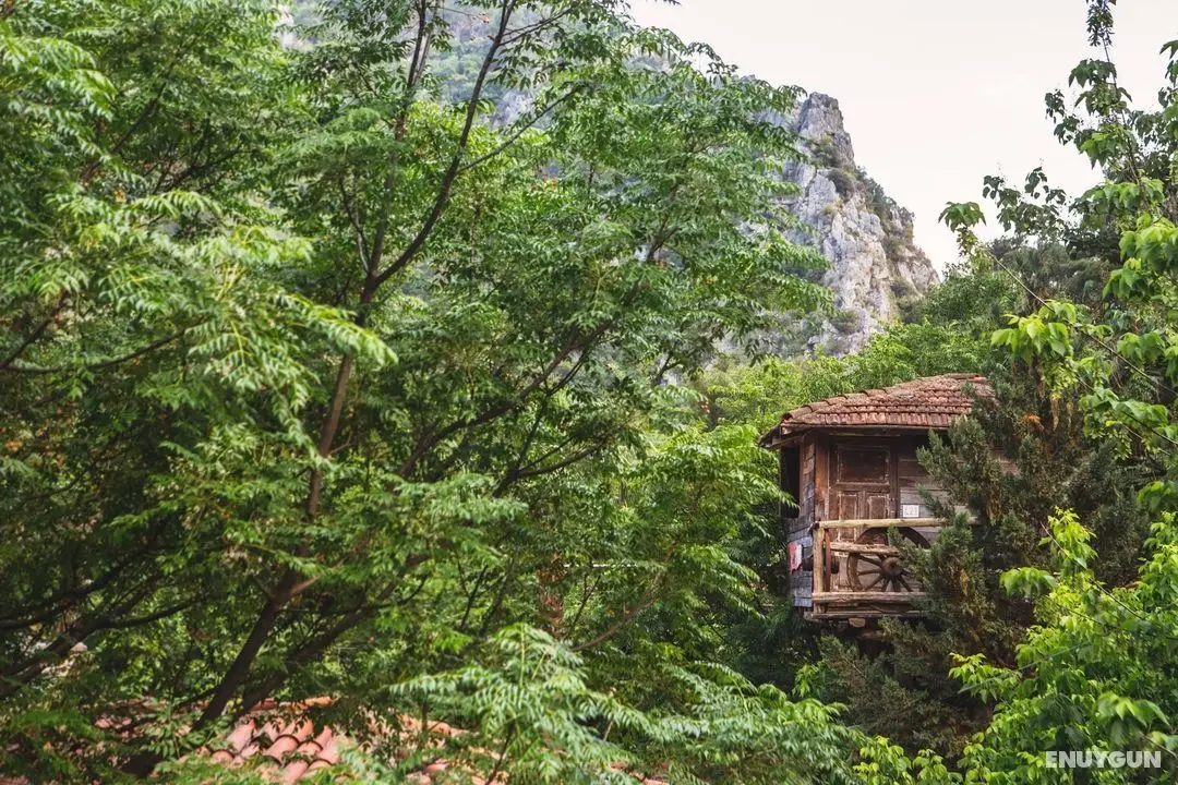 Kadir`s Tree Houses - Manzara / Peyzaj