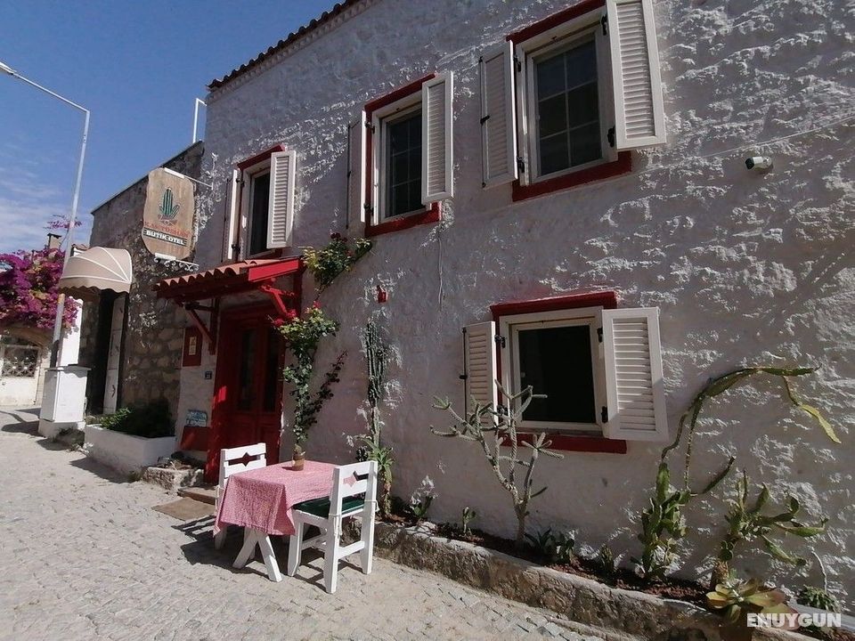 Kaktushan Otel | ENUYGUN