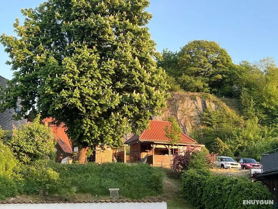 Kalkberg Ferienwohnungen - Dış Mekan