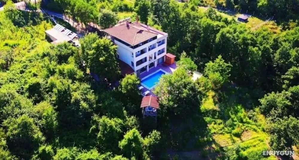 Kaltur Boutique Otel - Öne Çıkan Resim