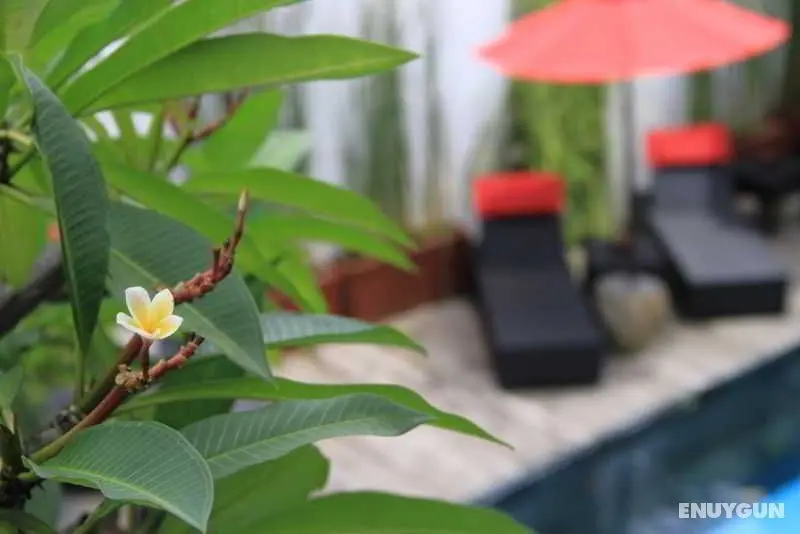 Villa KamarKamar Bali - Genel