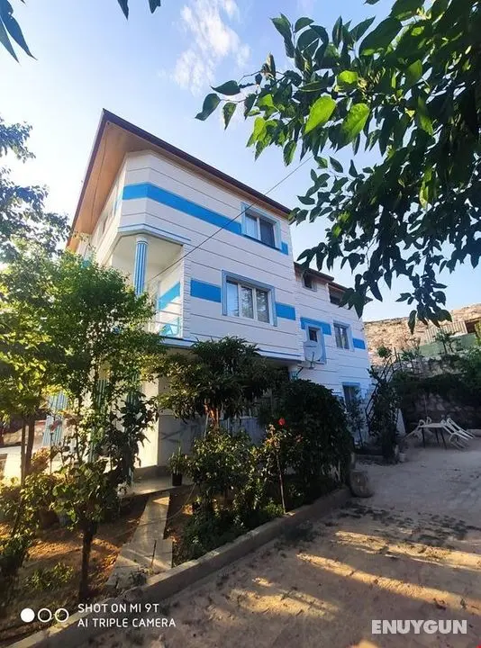 Kaplan Pansiyon - Genel