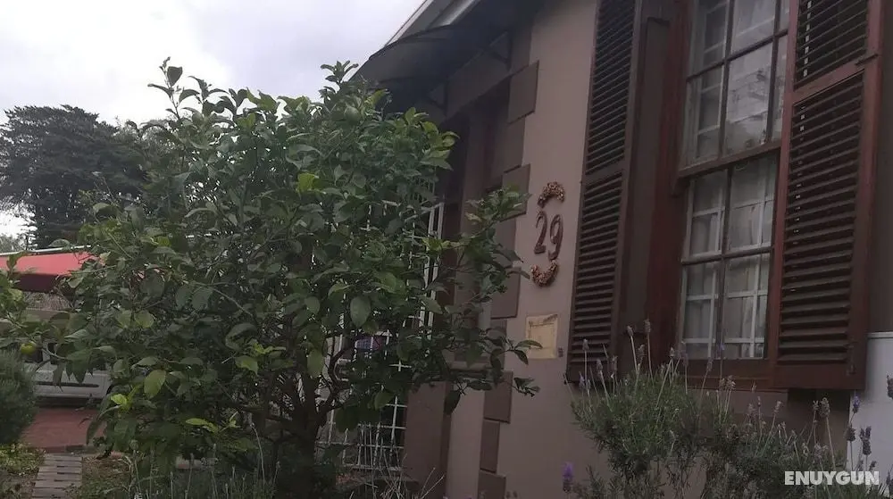 Karibu Guesthouse - Öne Çıkan Resim
