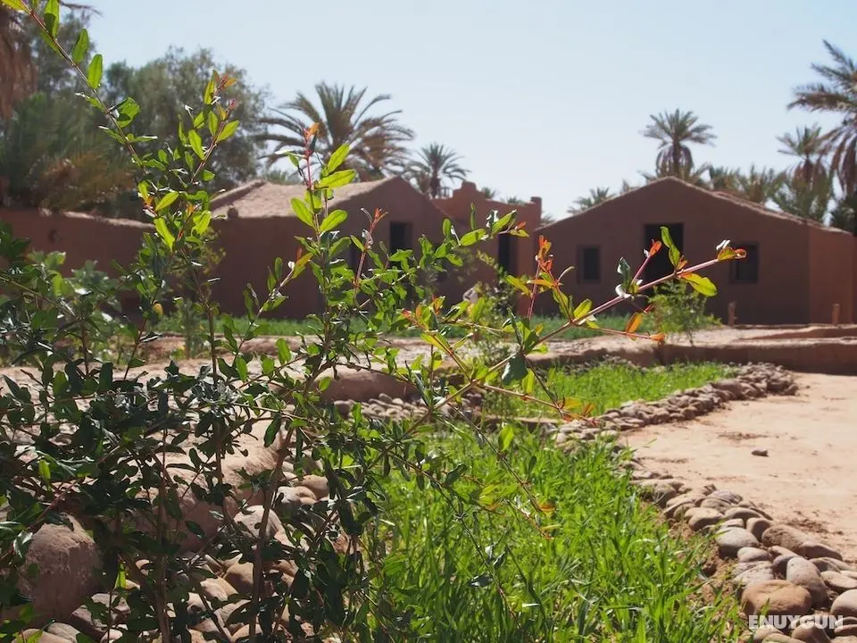 Kasbah Desert Camp - Öne Çıkan Resim