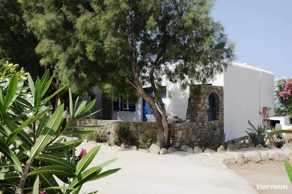 Katerina View Mykonos - Dış Mekanlar