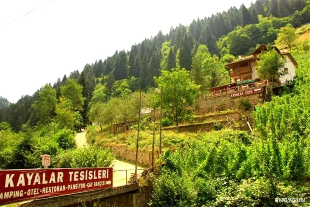 Kayalar Pansi̇yon - Genel