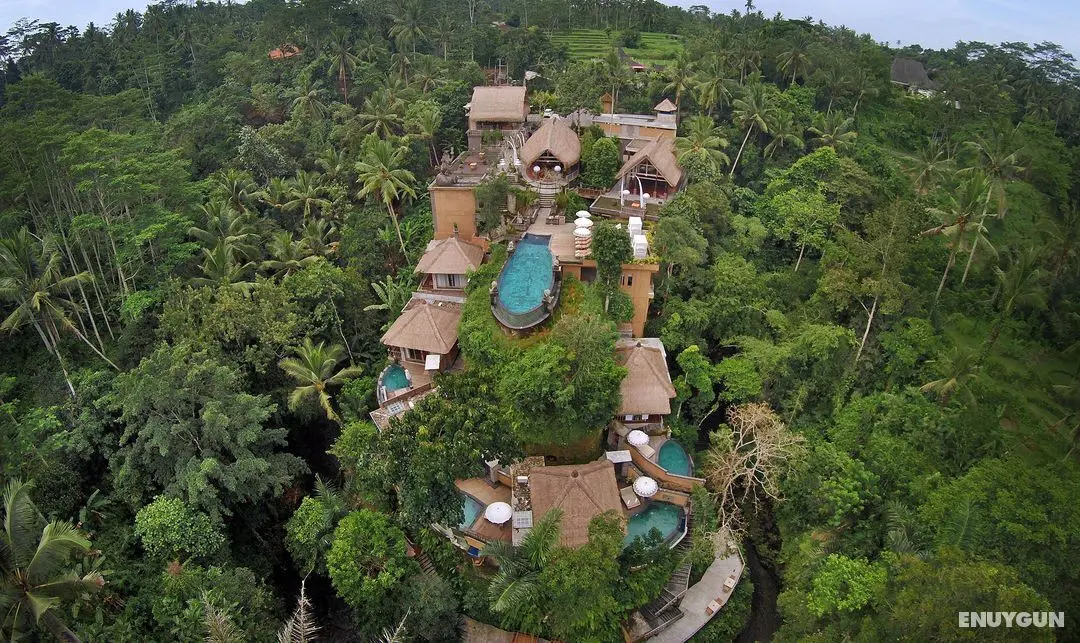 The Kayon Resort - Genel