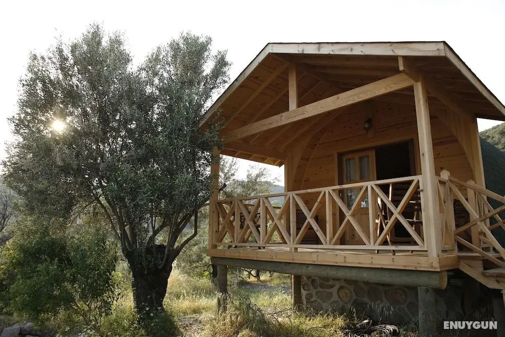 Kazdağları Sağlıklı Yaşam Tatil Koyu - Öne Çıkan Resim