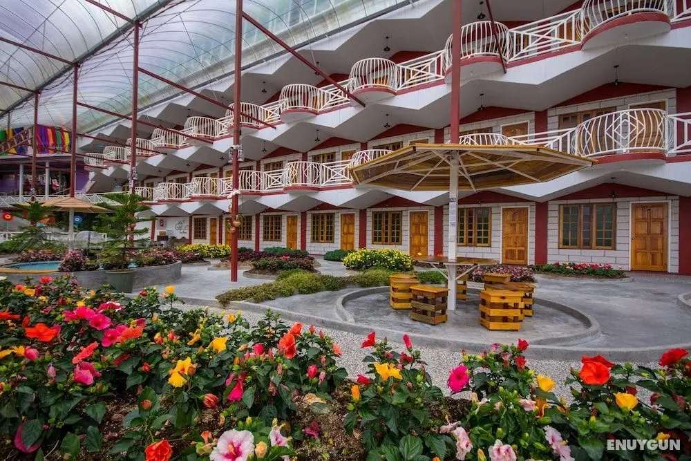 Kea Garden Guesthouse - Öne Çıkan Resim