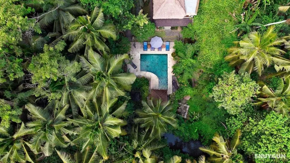 Kebun Indah Ubud - Öne Çıkan Resim