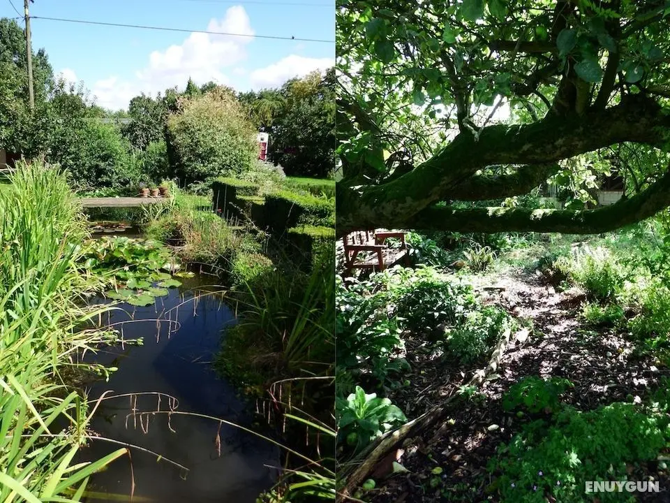 Kenilworth Garden Accommodation - Öne Çıkan Resim