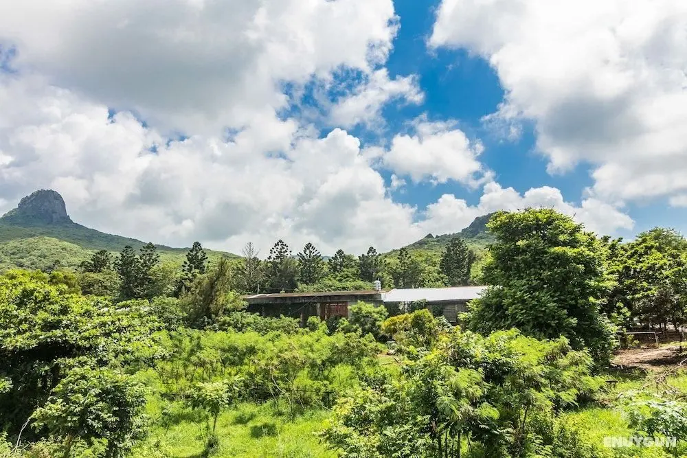 Kenting Fairyland & Farm Guest House - Oda Manzaraları