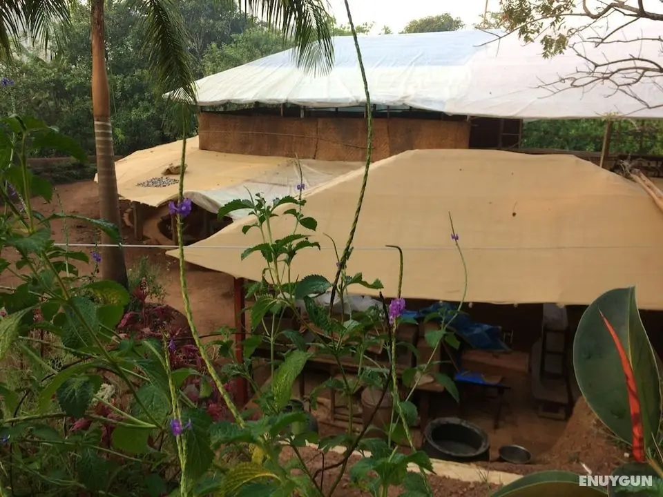 Khaama Kethna Wellbeing Retreat Centre - Lobi