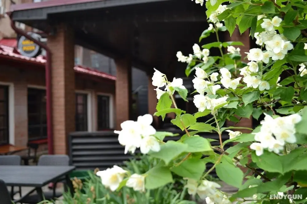 Khanuma Hotel - Öne Çıkan Resim