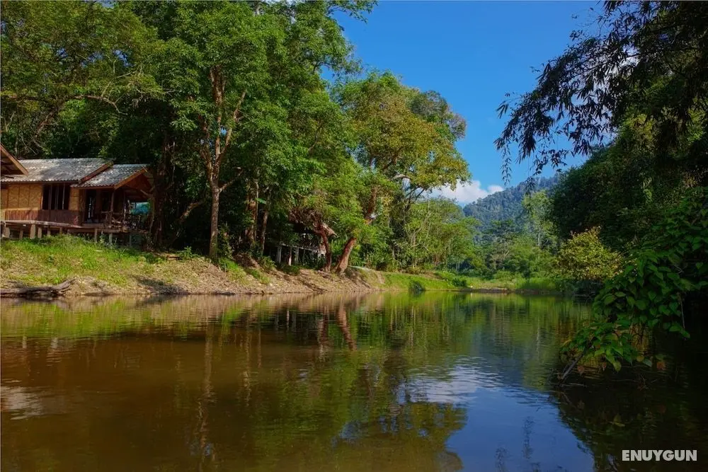 Khao Sok Riverside Cottage - Öne Çıkan Resim