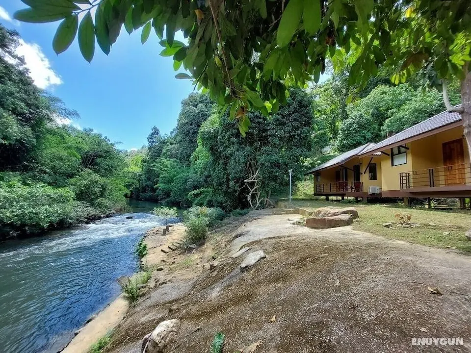 Khaosok Rainforest Resort - Öne Çıkan Resim