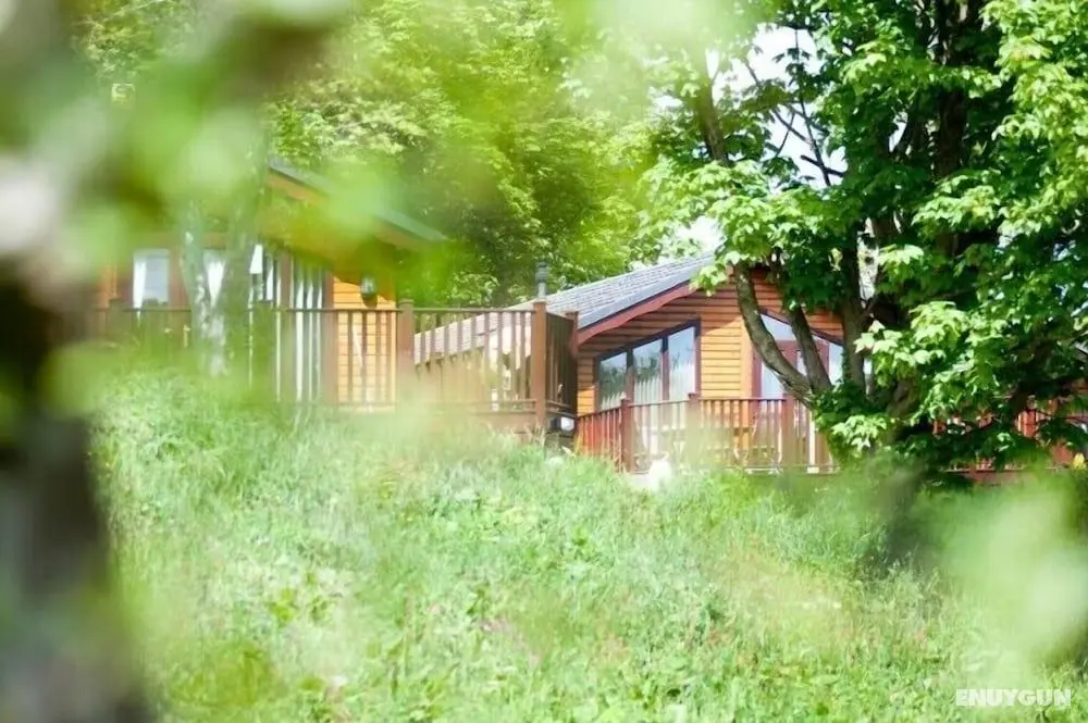 Killigarth Manor Holiday Park - Dış Mekan