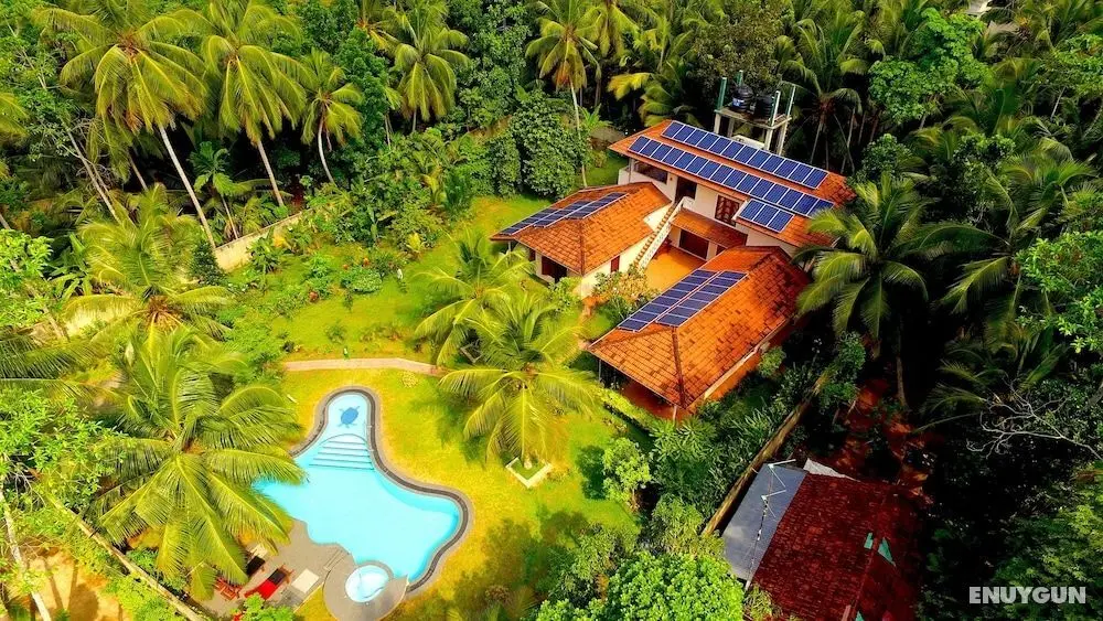 King Coconut Lodge - Öne Çıkan Resim