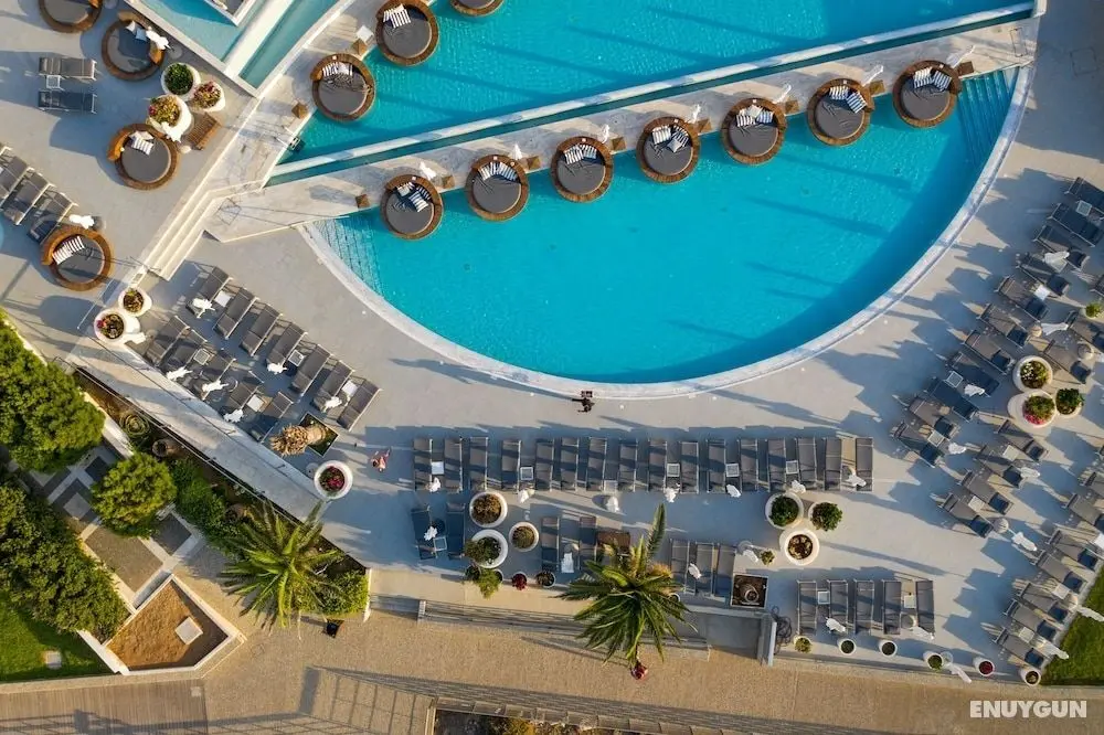 The King Jason Protaras - Designed for Adults - Öne Çıkan Resim