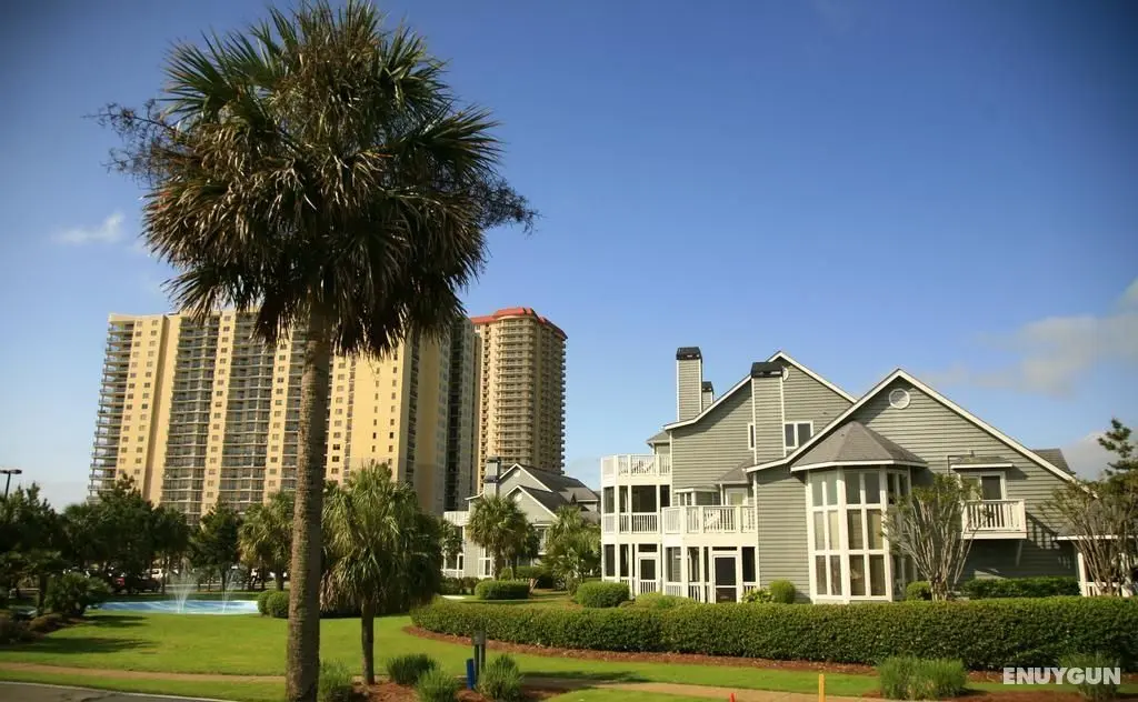Kingston Plantation Condos - Genel